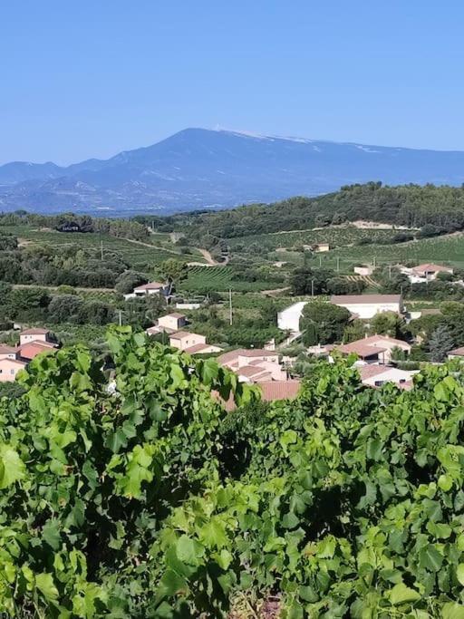 Maison De Village Chateauneuf-du-Pape Bagian luar foto